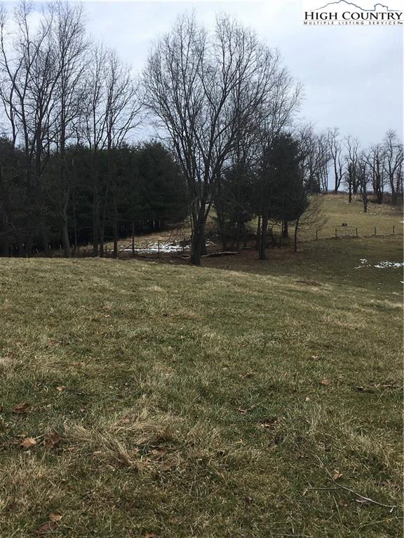 Image number 14 for the current listing