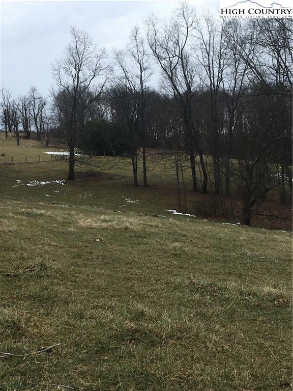 Image number 13 for the current listing