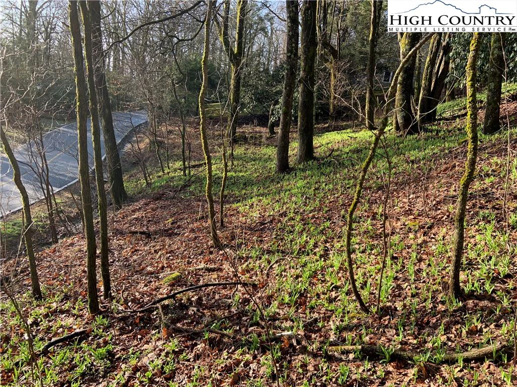 Image number 1 for the current listing