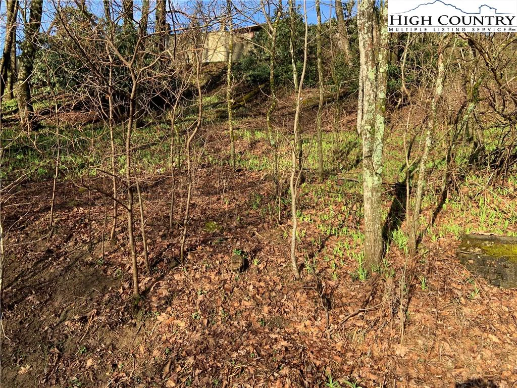 Image number 3 for the current listing