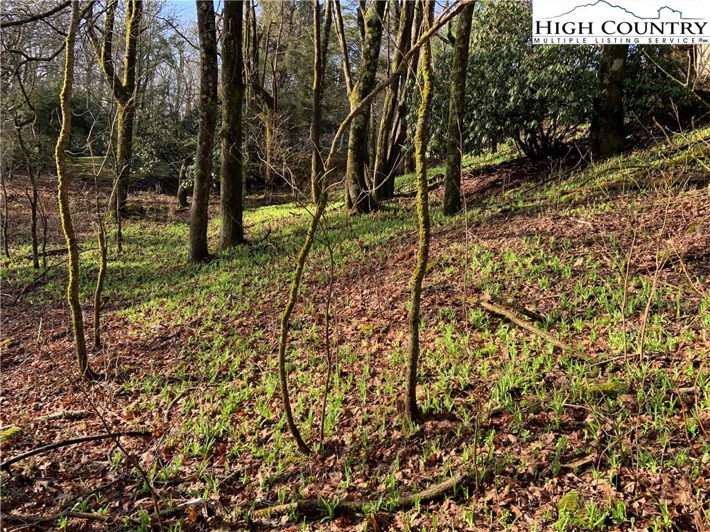 Image number 4 for the current listing