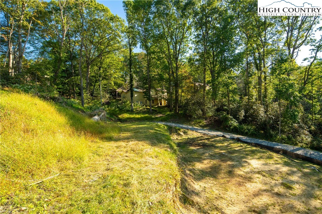 Image number 14 for the current listing