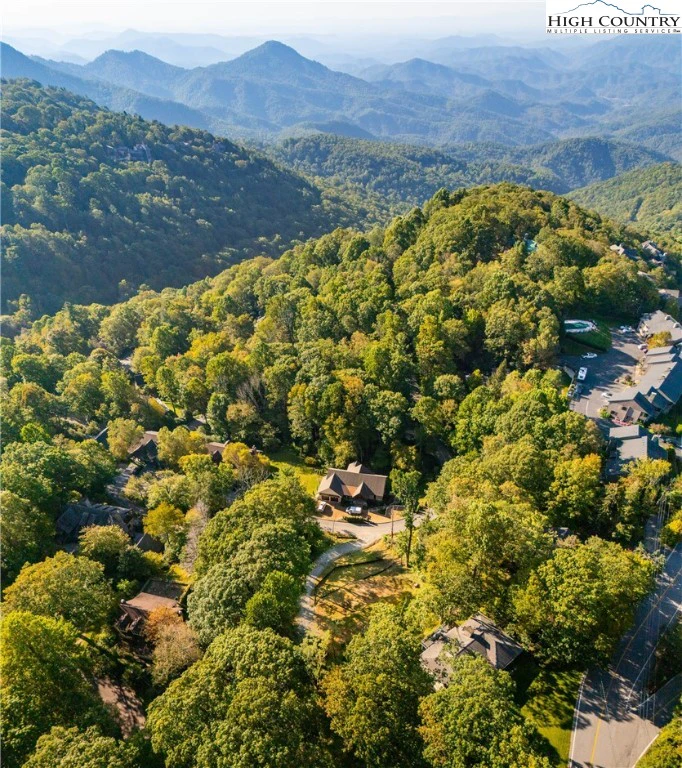 Image number 1 for the current listing