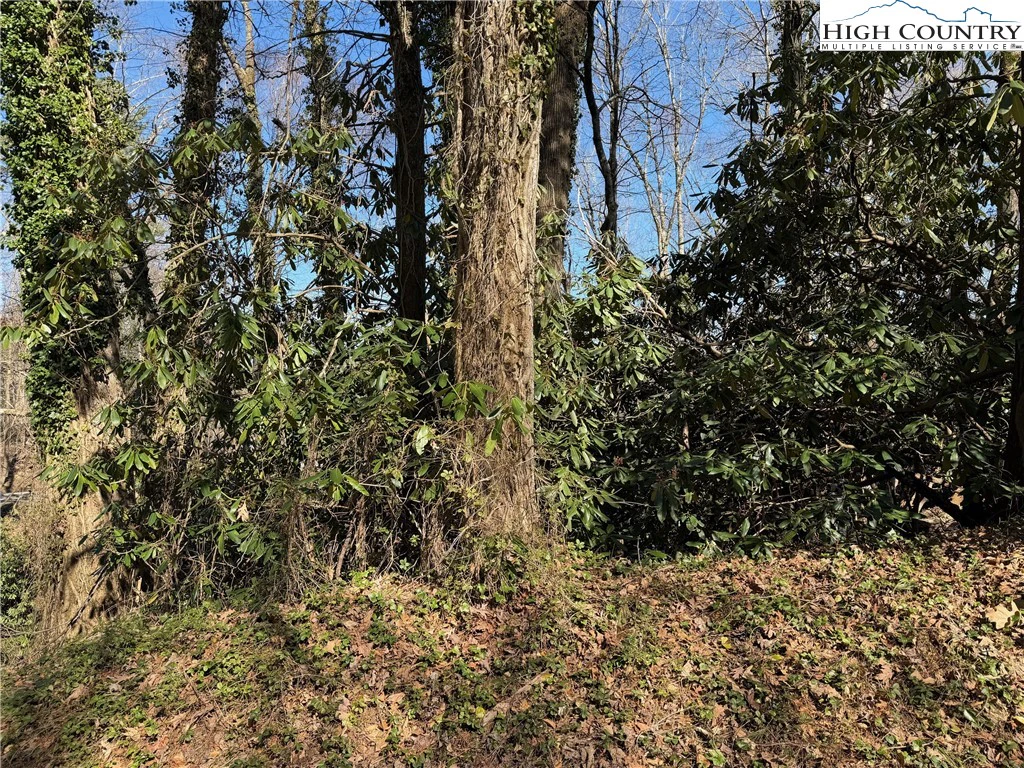 Image number 15 for the current listing