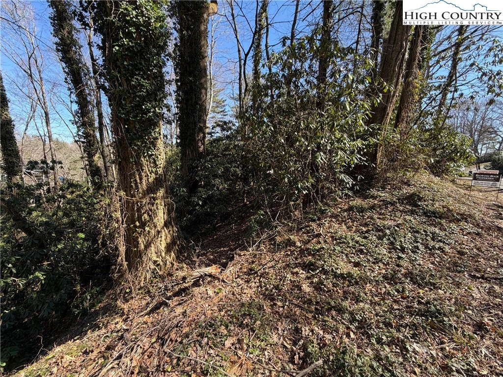 Image number 14 for the current listing
