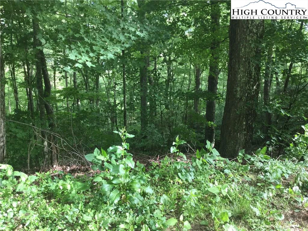 Image number 1 for the current listing
