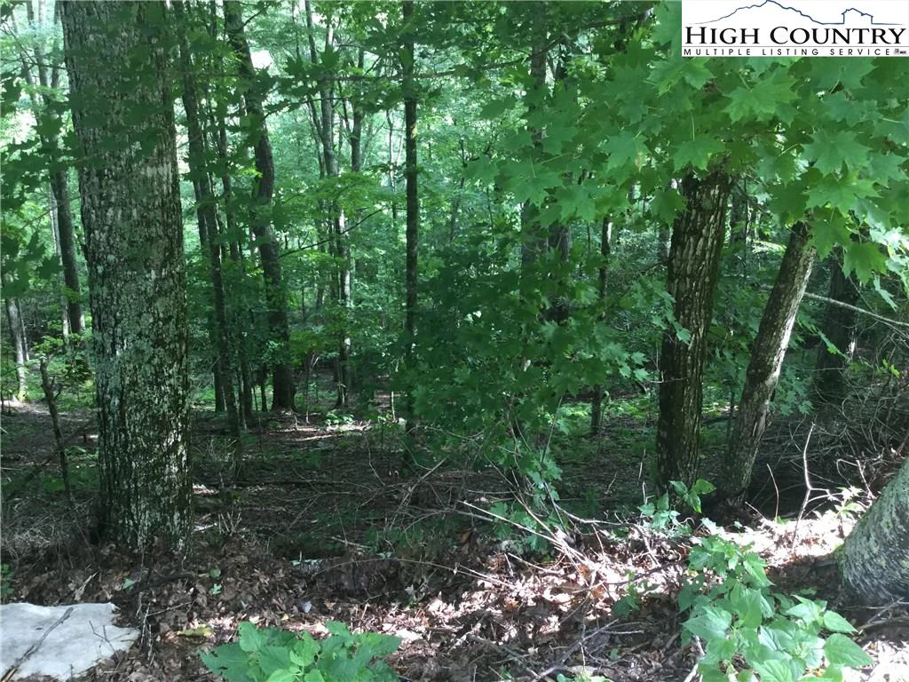 Image number 4 for the current listing