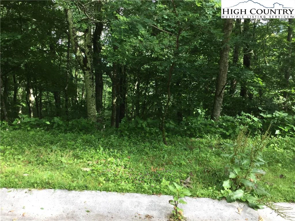 Image number 5 for the current listing