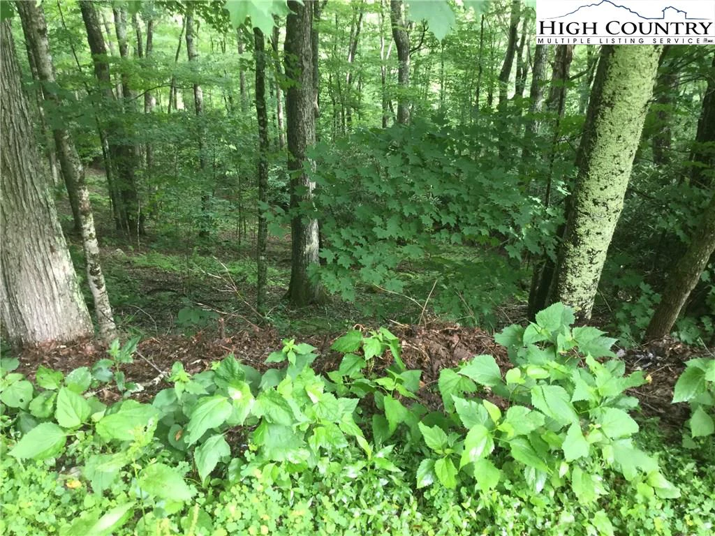 Image number 6 for the current listing