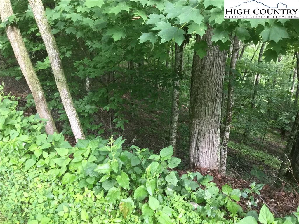 Image number 7 for the current listing