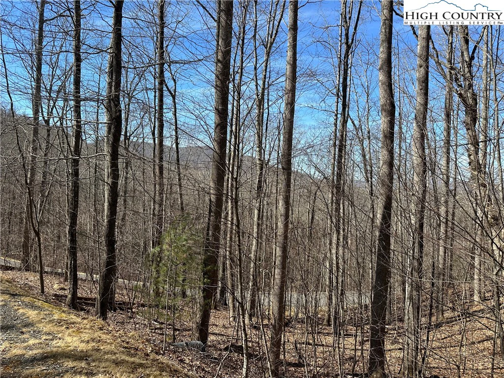 Image number 1 for the current listing