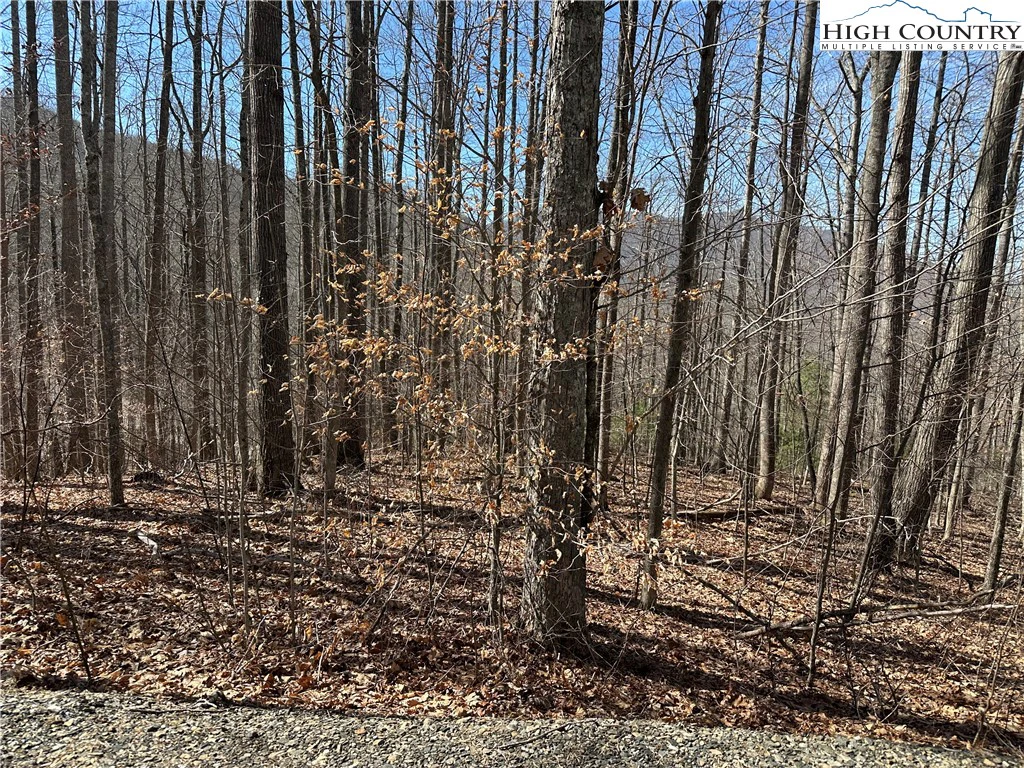 Image number 5 for the current listing