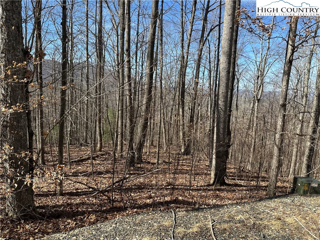 Image number 6 for the current listing