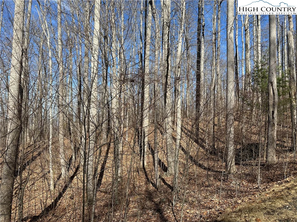 Image number 13 for the current listing