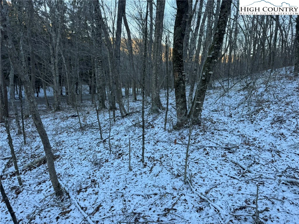 Image number 14 for the current listing