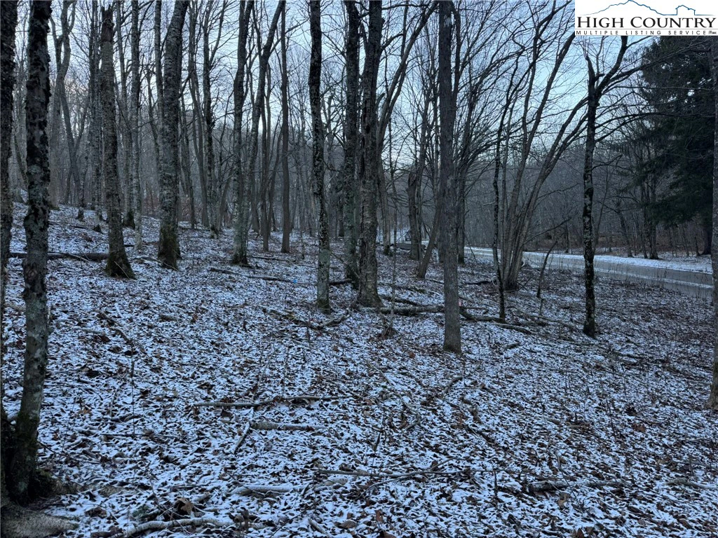 Image number 1 for the current listing