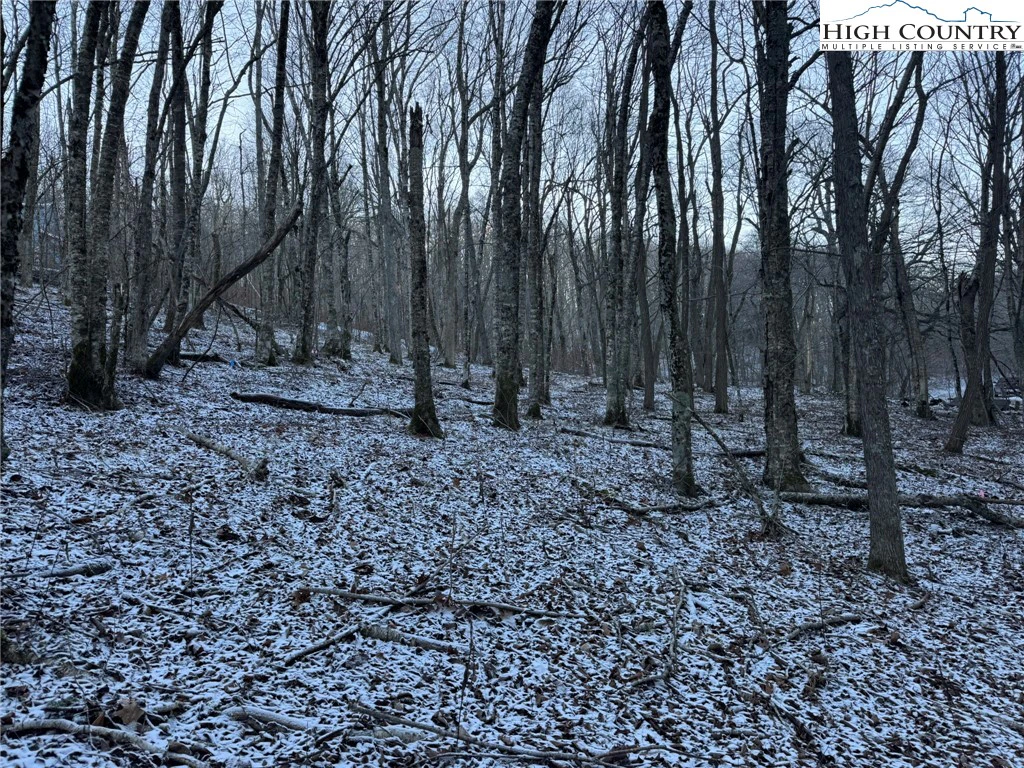 Image number 2 for the current listing