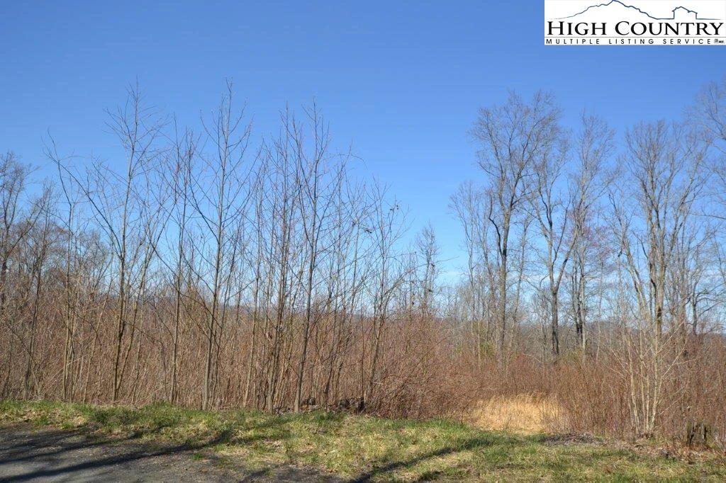 Image number 1 for the current listing