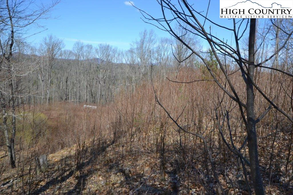 Image number 11 for the current listing