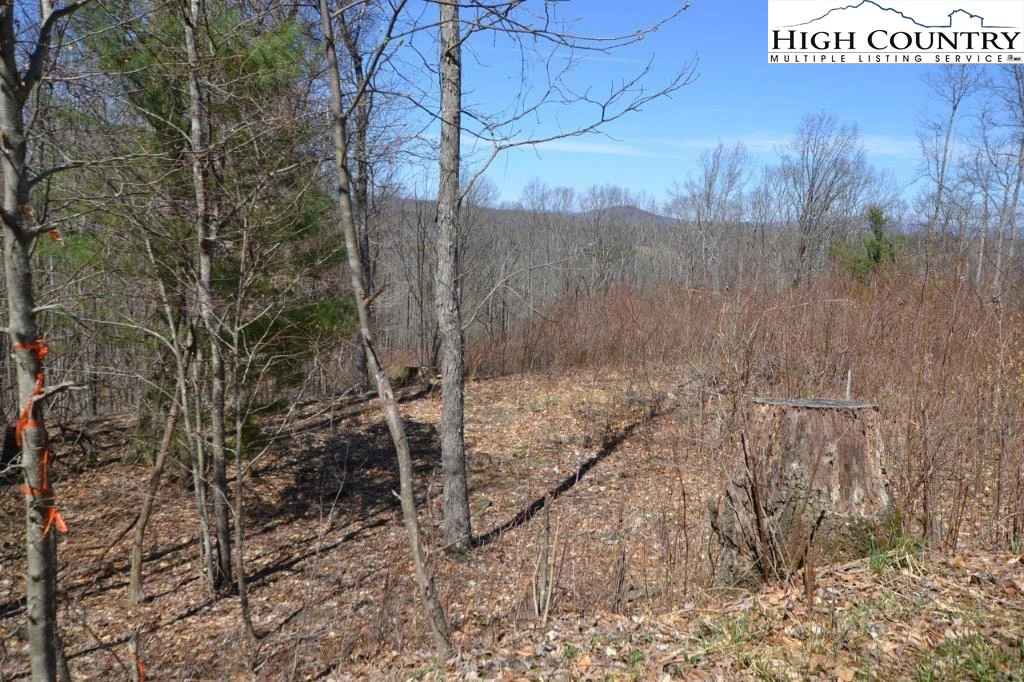 Image number 3 for the current listing
