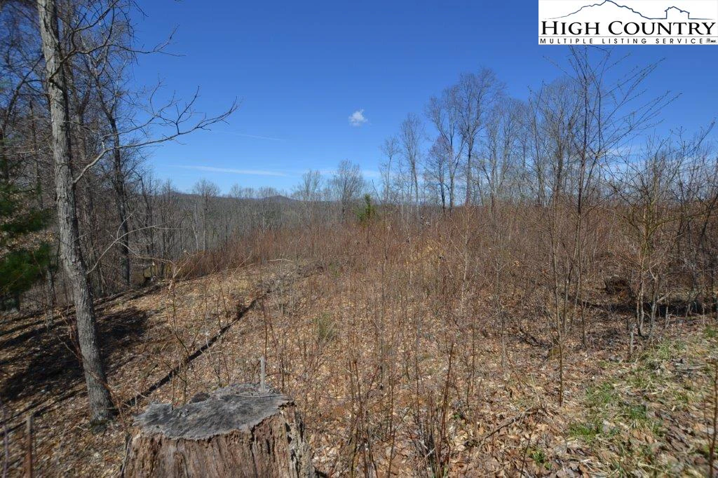 Image number 4 for the current listing