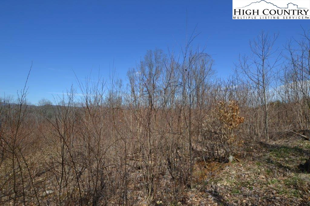 Image number 5 for the current listing