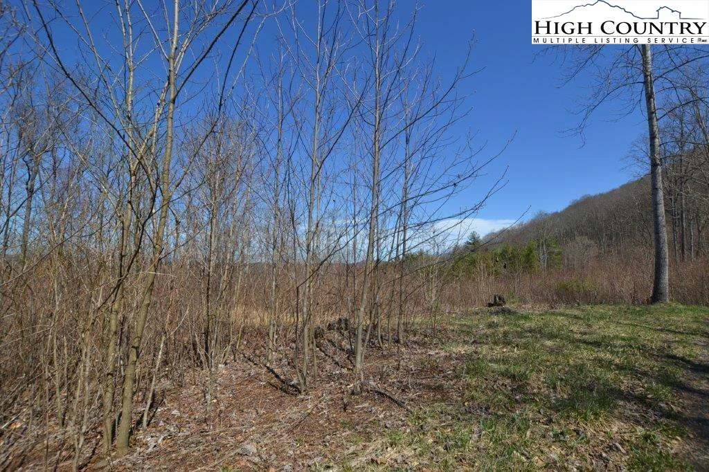 Image number 6 for the current listing