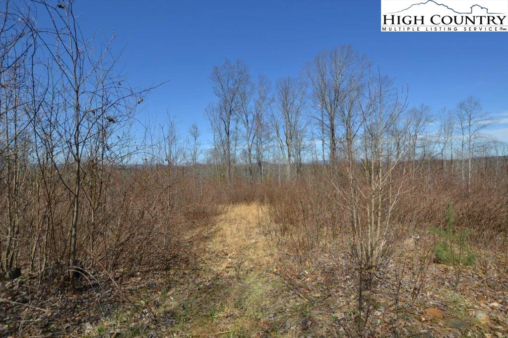 Image number 7 for the current listing