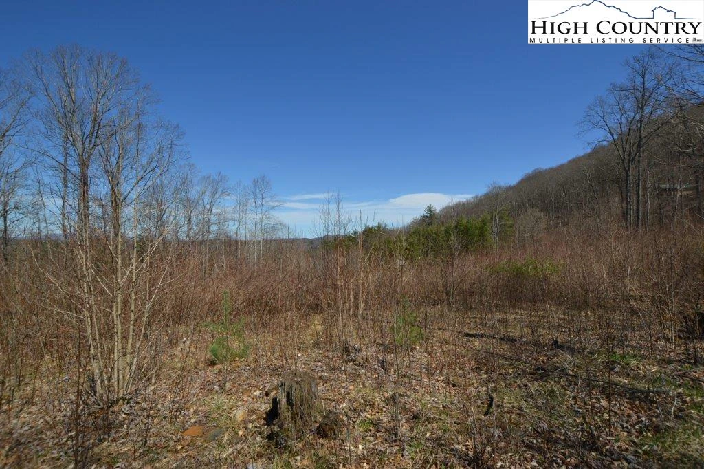 Image number 8 for the current listing