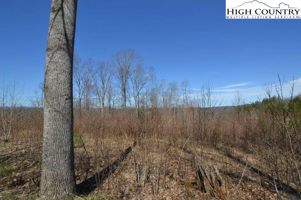 Image number 9 for the current listing