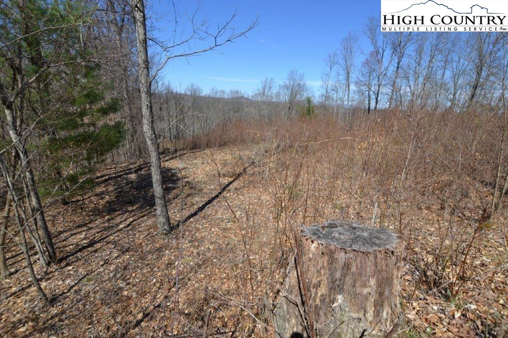 Image number 10 for the current listing