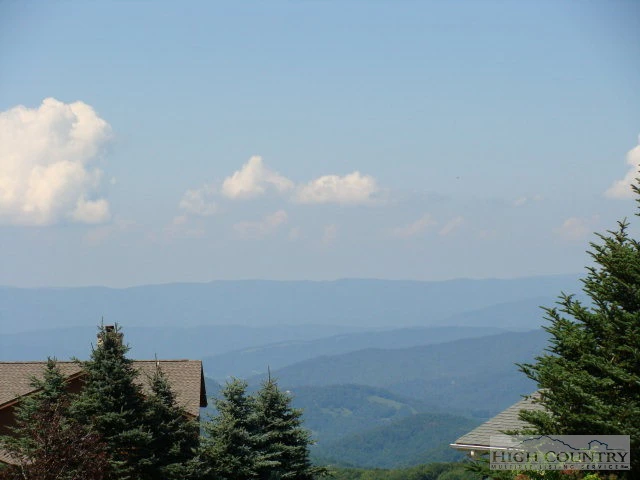 Image number 1 for the current listing
