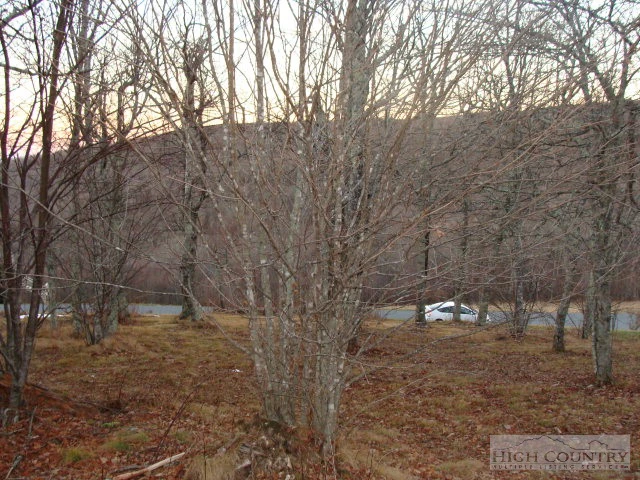 Image number 4 for the current listing