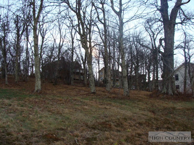 Image number 7 for the current listing