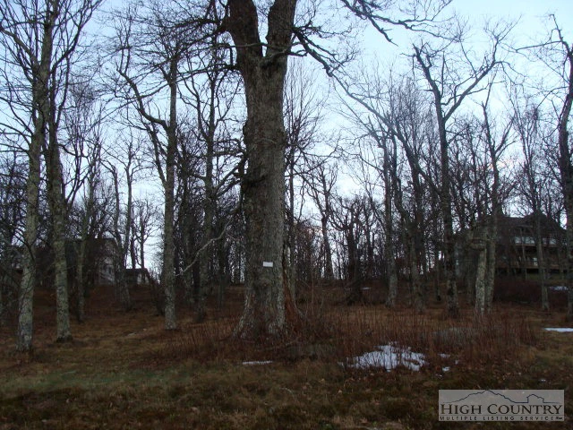 Image number 8 for the current listing