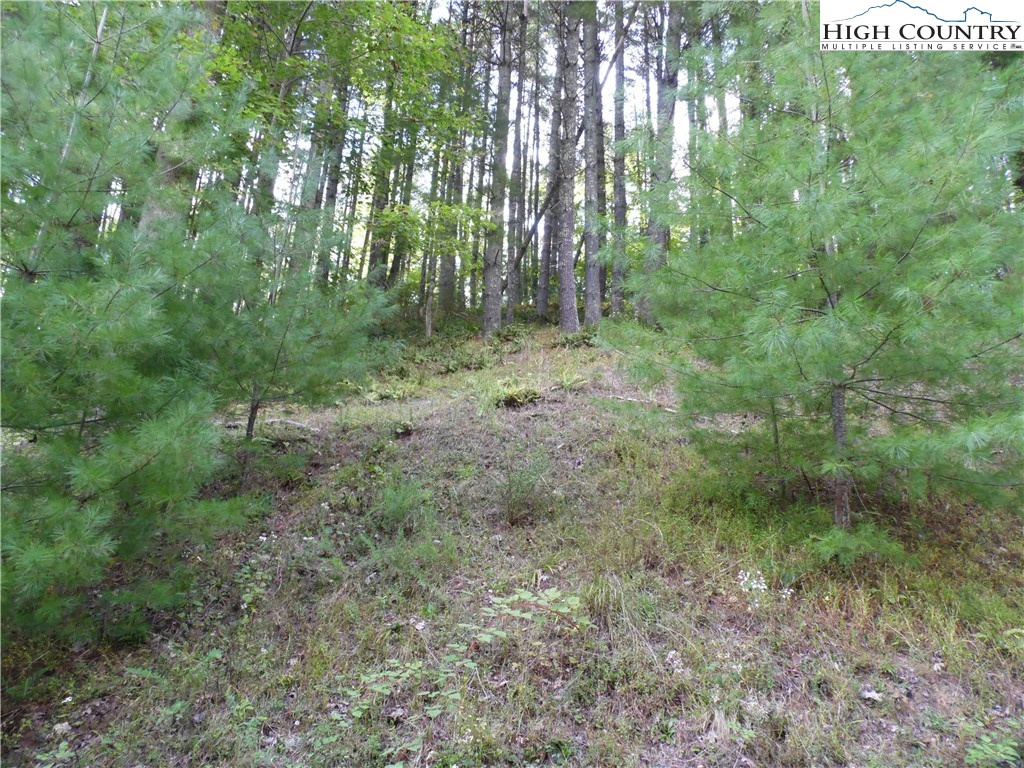 Image number 1 for the current listing