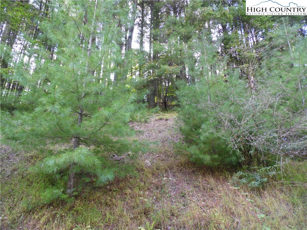 Image number 3 for the current listing