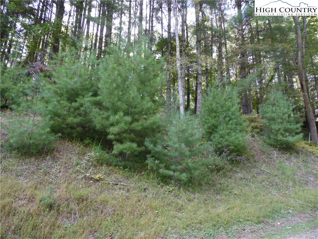 Image number 6 for the current listing