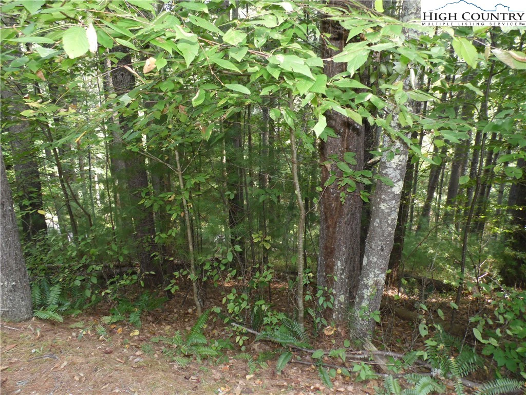 Image number 7 for the current listing