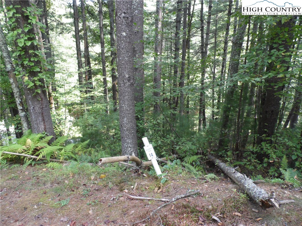 Image number 9 for the current listing