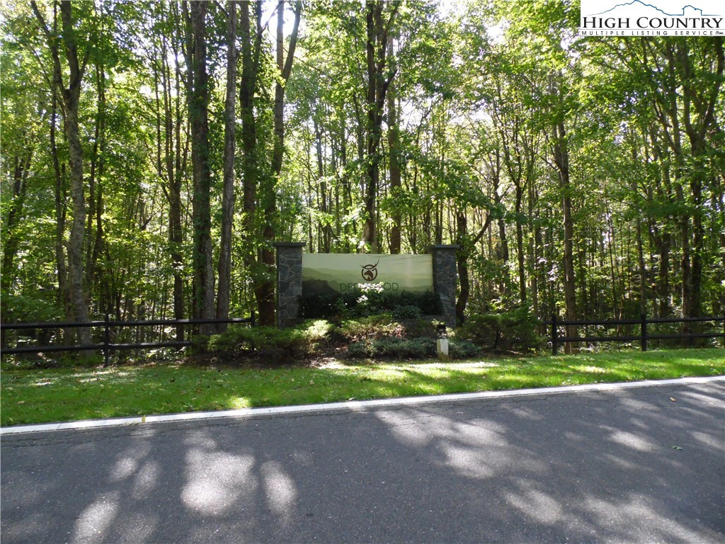 Image number 11 for the current listing