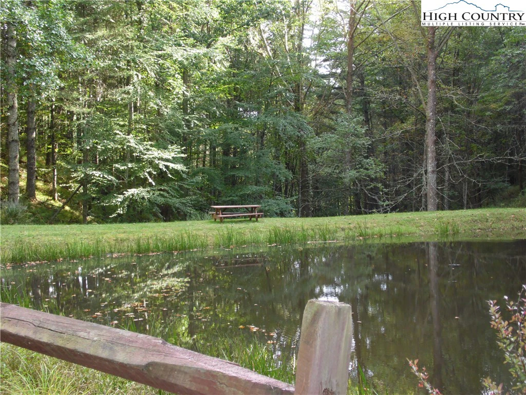 Image number 13 for the current listing