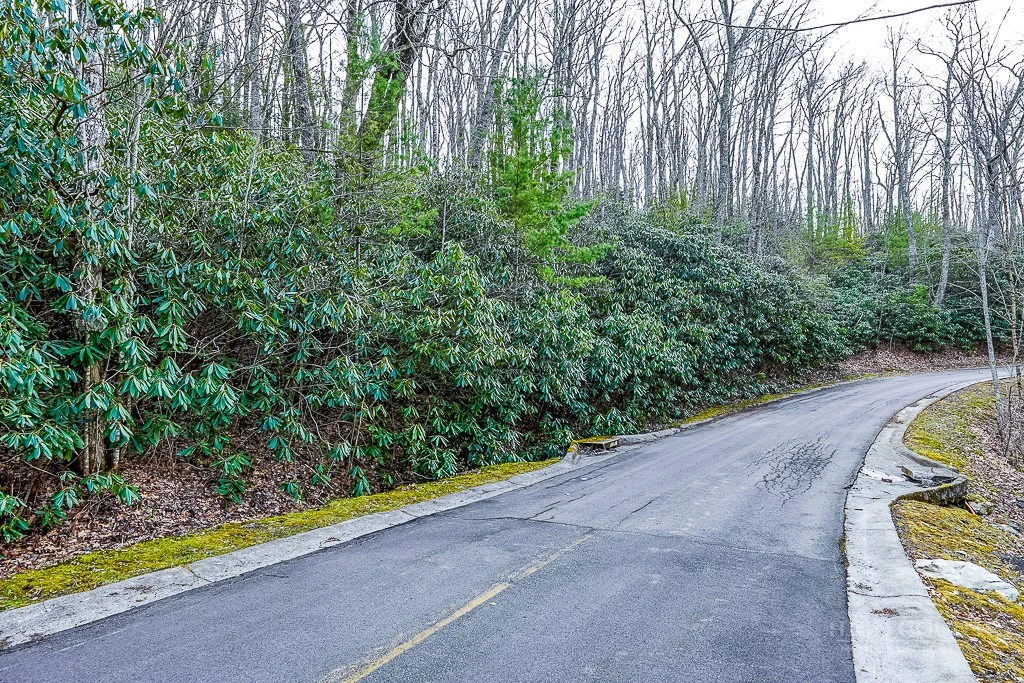 Image number 4 for the current listing
