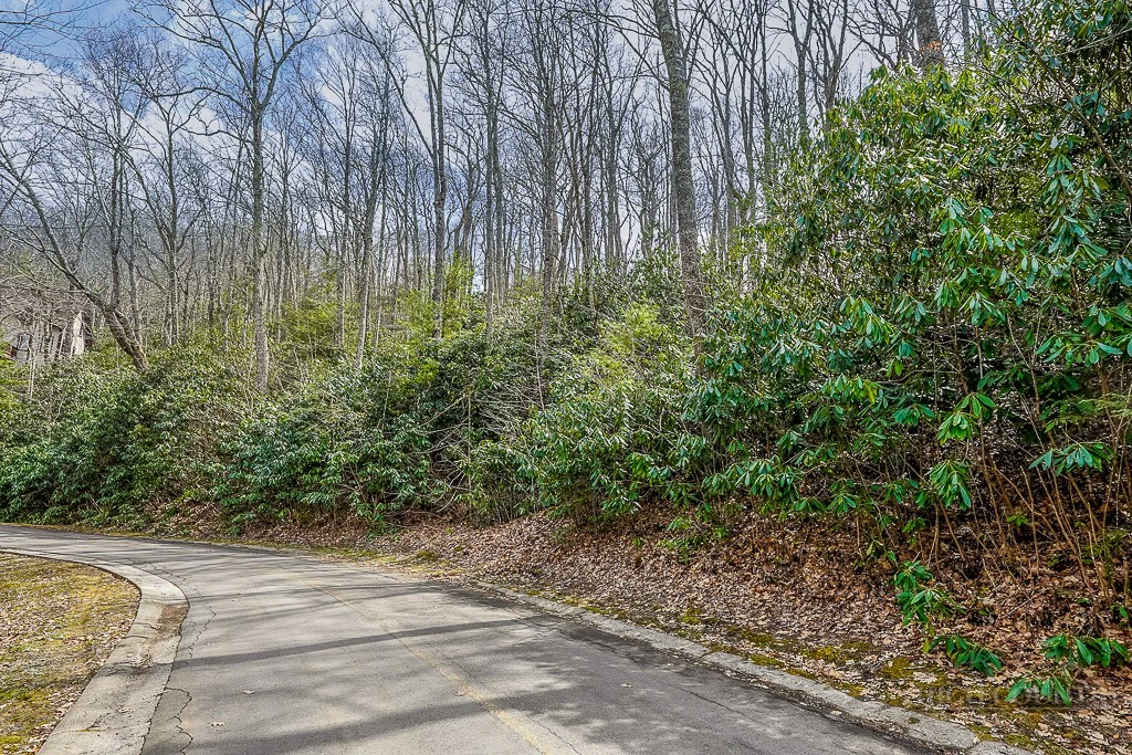 Image number 7 for the current listing