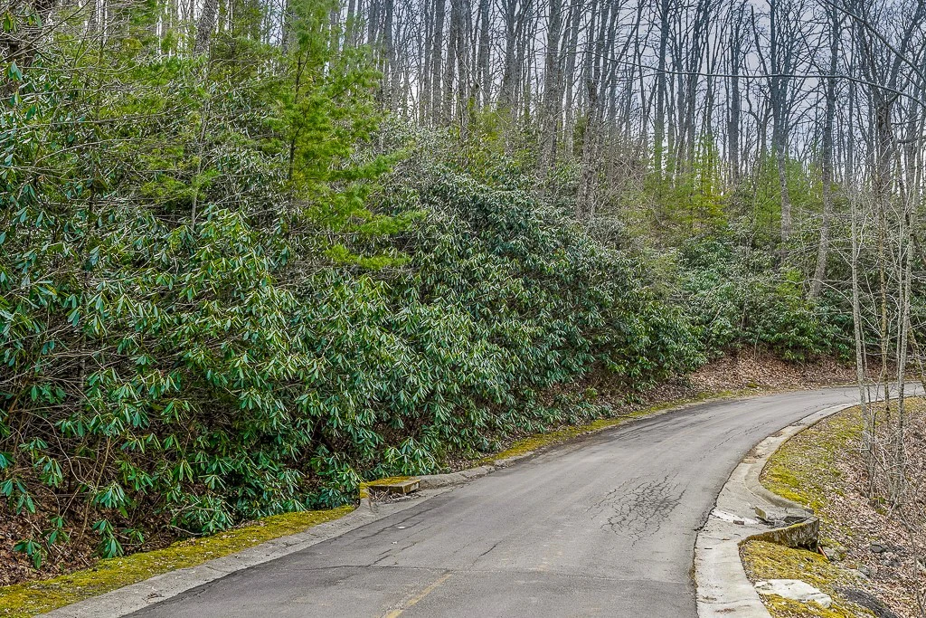 Image number 9 for the current listing