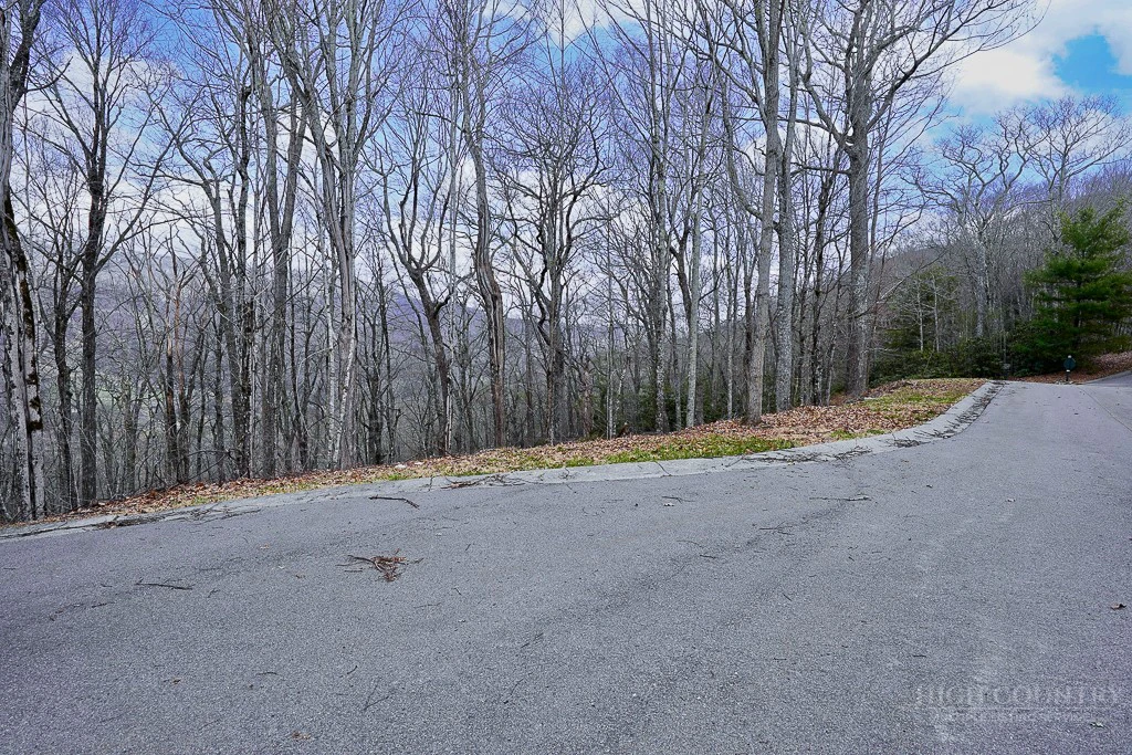 Image number 1 for the current listing