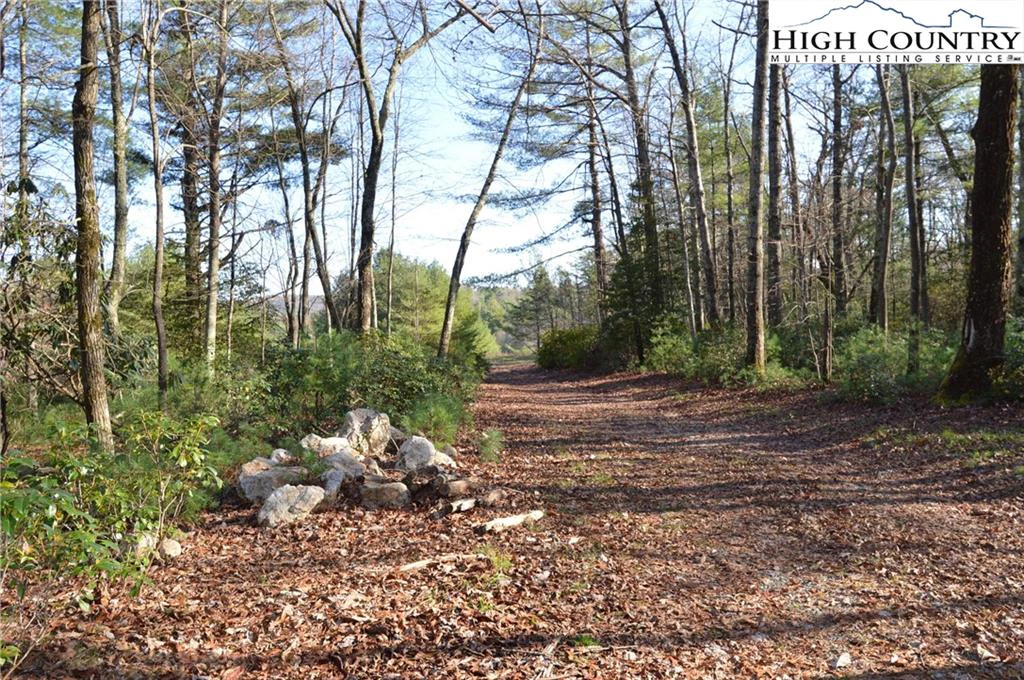 Image number 14 for the current listing