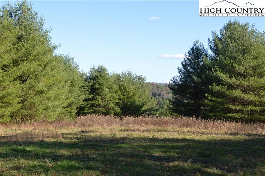 Image number 3 for the current listing