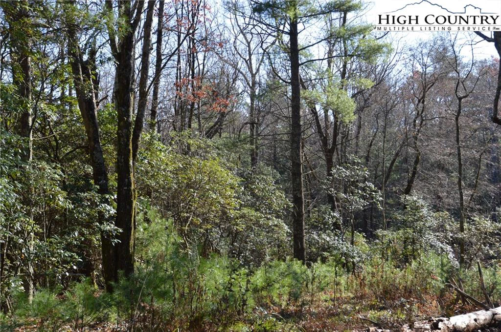 Image number 4 for the current listing