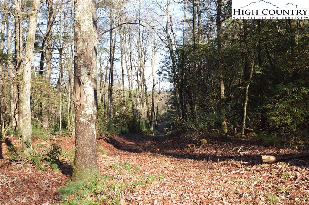 Image number 5 for the current listing
